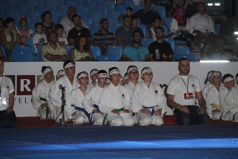 Martial Arts Festival